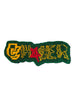 CHASER RUG$